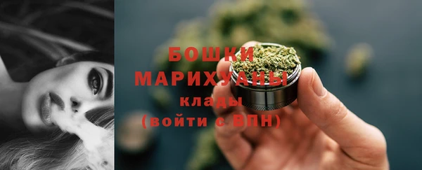 ALPHA PVP Покров