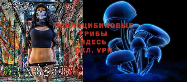 ALPHA PVP Покров