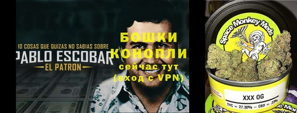 ALPHA PVP Покров