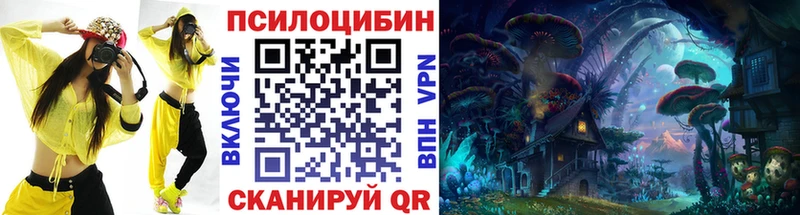 Купить  Городище  Псилоцибиновые грибы мицелий 